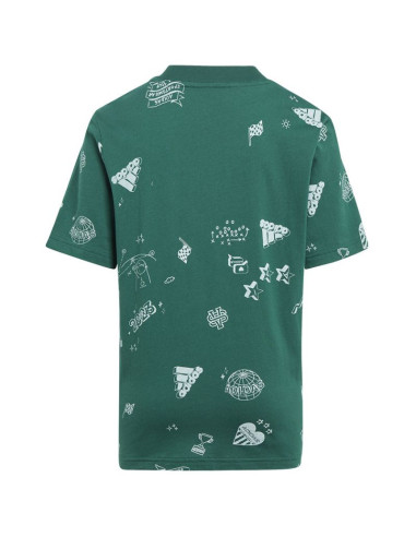 Koszulka adidas bluv q3 aopt jr