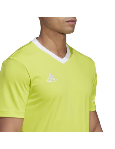 Koszulka adidas entrada 22 m