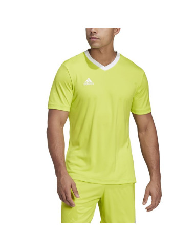 Koszulka adidas entrada 22 m