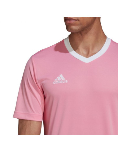Koszulka adidas entrada 22 m