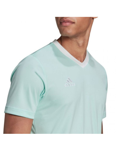 Koszulka adidas entrada 22 m