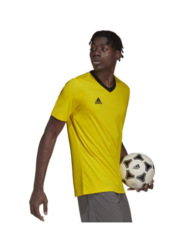 Koszulka adidas entrada 22 m