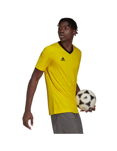 Koszulka adidas entrada 22 m