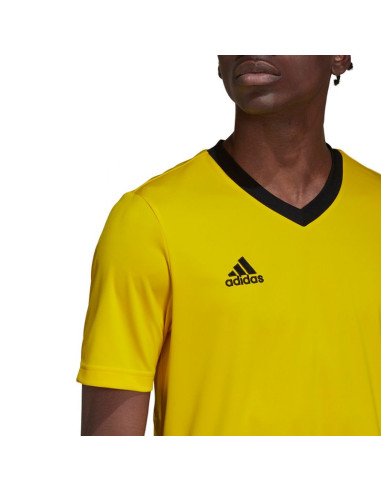 Koszulka adidas entrada 22 m