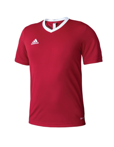 Koszulka adidas entrada 22 m