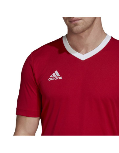 Koszulka adidas entrada 22 m