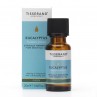 Eucalyptus Ethically Harvested - Olejek Eukaliptusowy (20 ml)