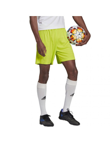 Spodenki adidas entrada 22 m