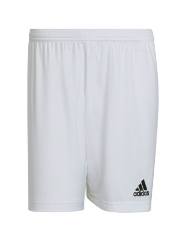 Spodenki adidas entrada 22 m