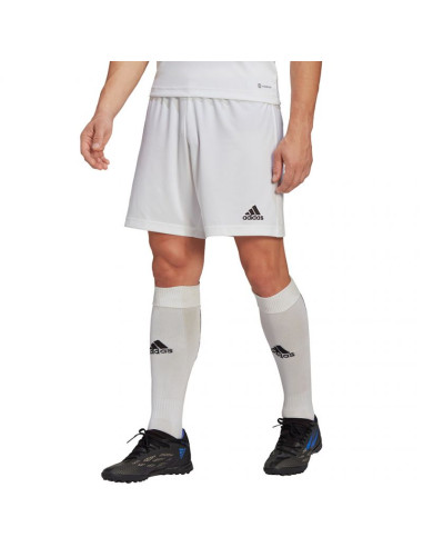 Spodenki adidas entrada 22 m