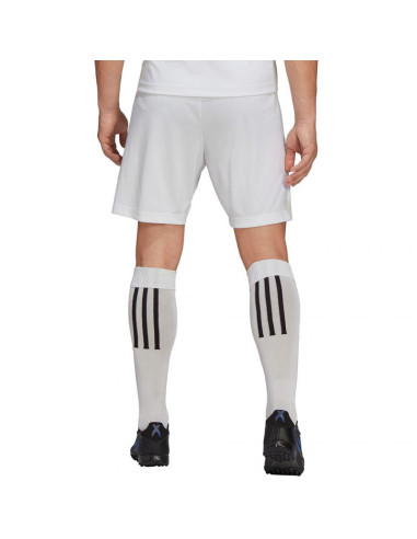 Spodenki adidas entrada 22 m