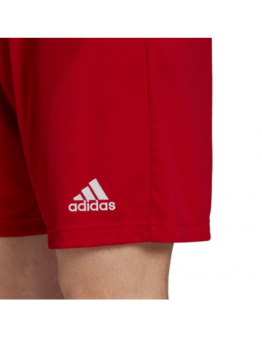 Spodenki adidas entrada 22 m