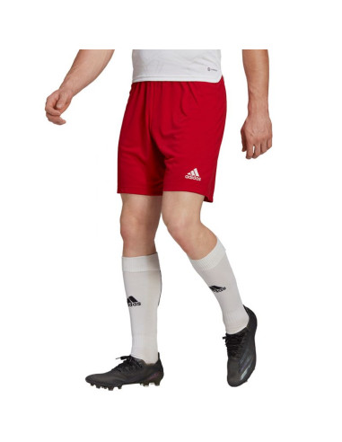 Spodenki adidas entrada 22 m