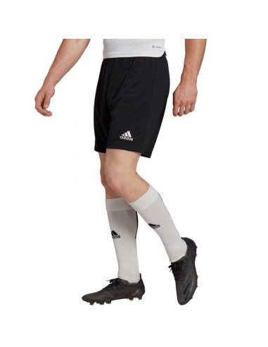 Spodenki adidas entrada 22 m