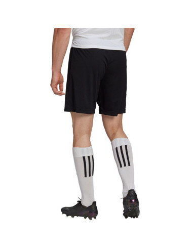 Spodenki adidas entrada 22 m