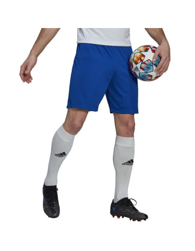 Spodenki adidas entrada 22 m