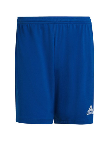 Spodenki adidas entrada 22 m