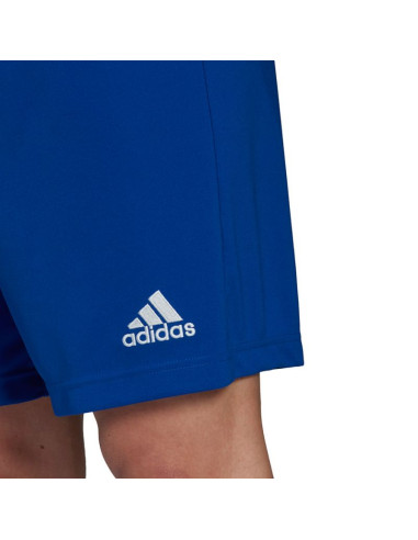 Spodenki adidas entrada 22 m