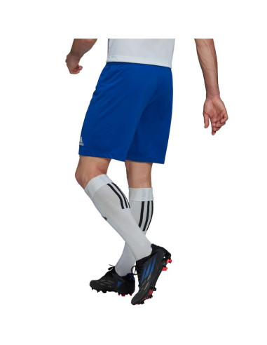 Spodenki adidas entrada 22 m