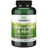 Chlorophyllin & Mint (500 tabl.)