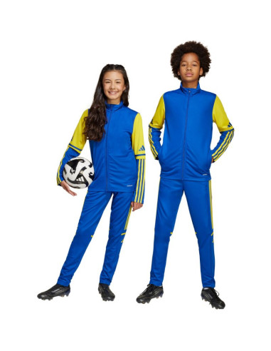 Spodnie adidas squadra 25 training jr