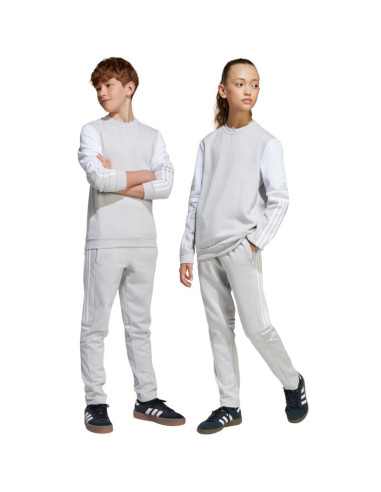 Spodnie adidas squadra 25 sweat jr