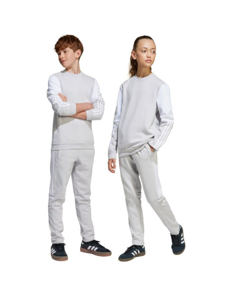 Spodnie adidas squadra 25 sweat jr