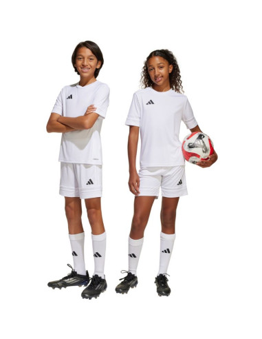 Spodenki adidas squadra 25 jr