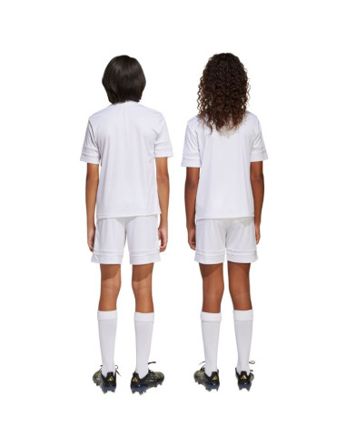 Spodenki adidas squadra 25 jr