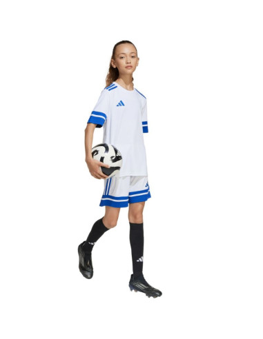 Spodenki adidas squadra 25 jr