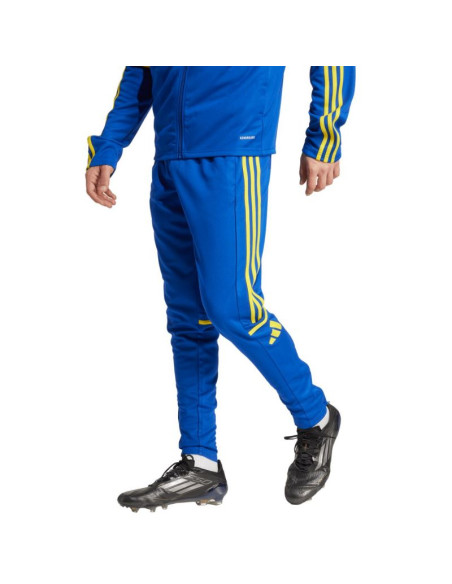 Spodnie adidas squadra 25 training m