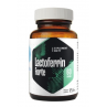 Lactoferrin Forte 200 mg (60 kaps.)