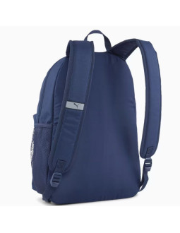 Pleack puma phase 091164 2