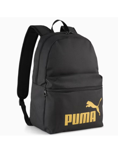 Pleack puma phase 091164