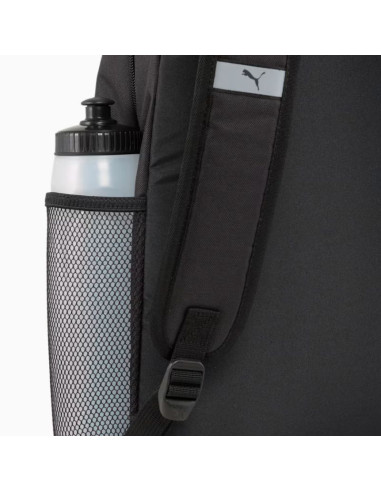 Pleack puma phase 091164