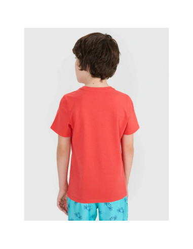 Koszulka 4f jr 4fjwss25ttshm1917