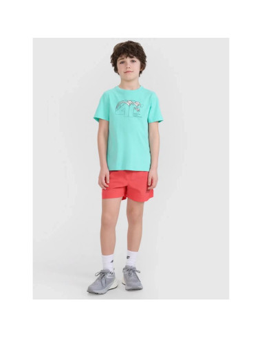 Koszulka 4f jr 4fjwss25ttshm1917