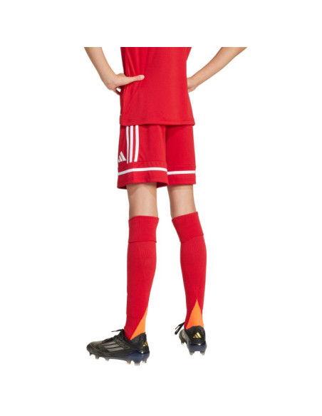 Spodenki adidas squadra 25 jr