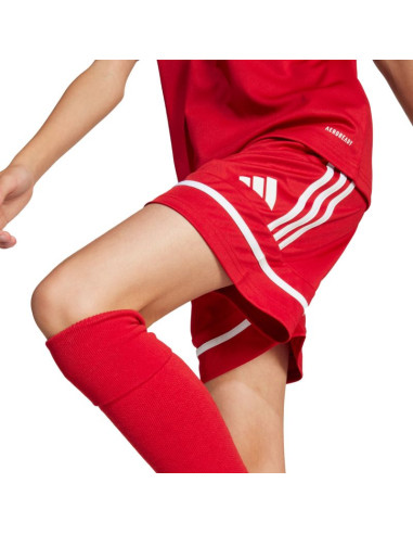 Spodenki adidas squadra 25 jr