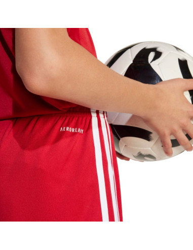 Spodenki adidas squadra 25 jr