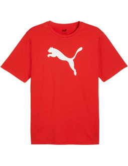 Koszulka puma team rise logo jersey cotton m 658705