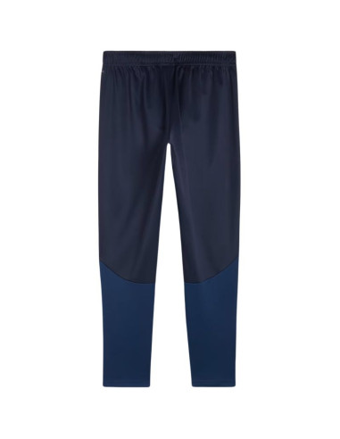 Spodnie puma team goal training m 658639
