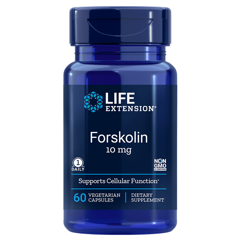 Forskolin - Pokrzywa indyjska (Coleus Forskohlii) ekstrakt (60 kaps.)