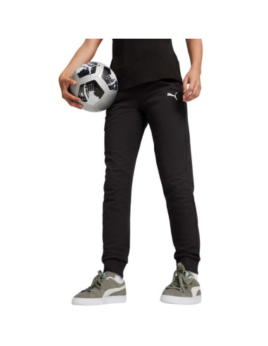 Spodnie puma team goal casuals w 658604
