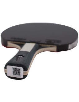 Rakietka do ping ponga butterfly ovtcharov diamond 2