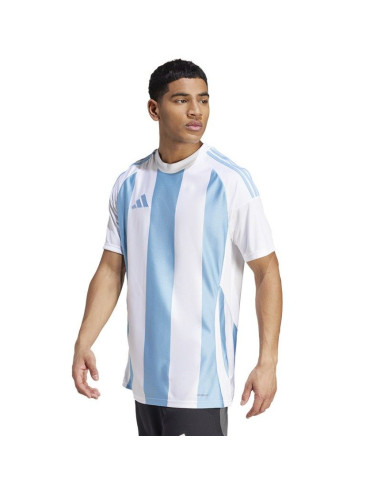 Koszulka adidas striped 24 jsy m