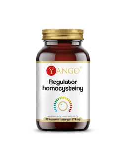 YANGO Regulator homocysteiny (90 kaps.)