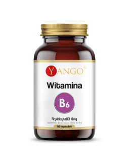 Witamina B6 (90 kaps.)