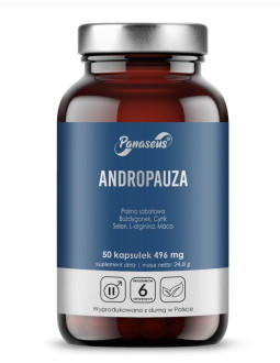 Panaseus Andropauza (50 Kaps.)