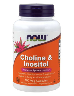 Cholina i Inozytol (100 kaps.)